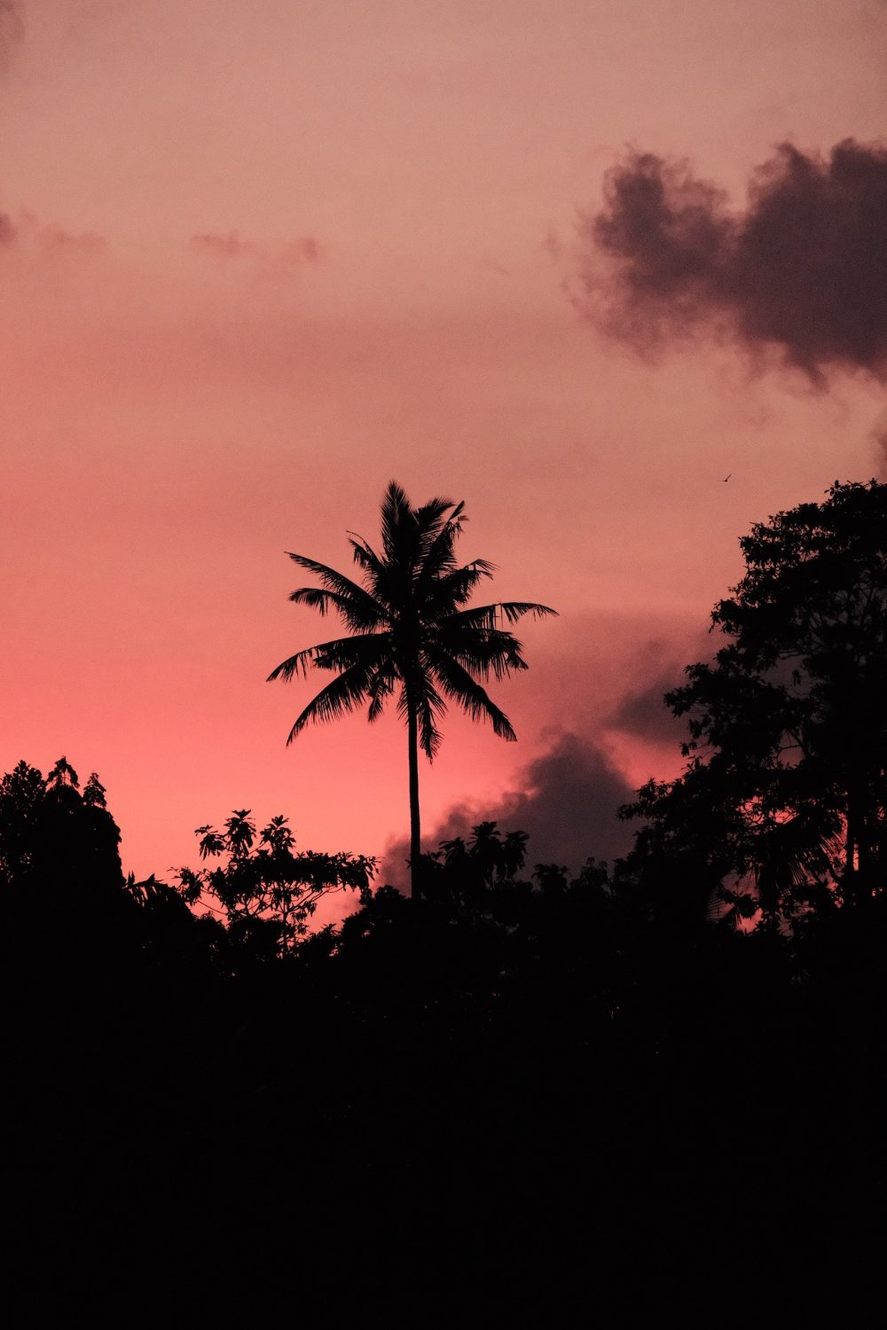 Sri Lanka teacher training